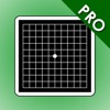 AmslerPro
