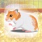 Hamster Game Free