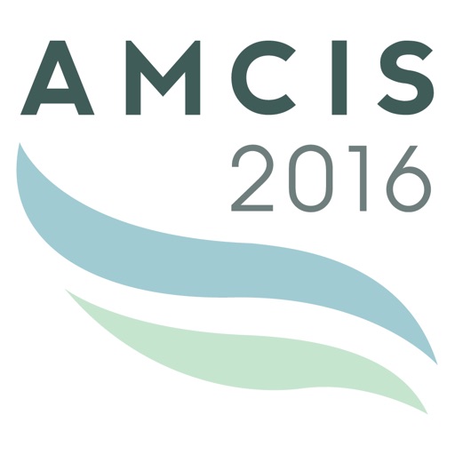 AMCIS 2016