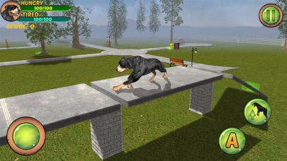 Rottweiler Dog Life Simulator Screenshot 3