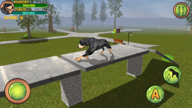 Rottweiler Dog Life Simulator(圖3)-速報App