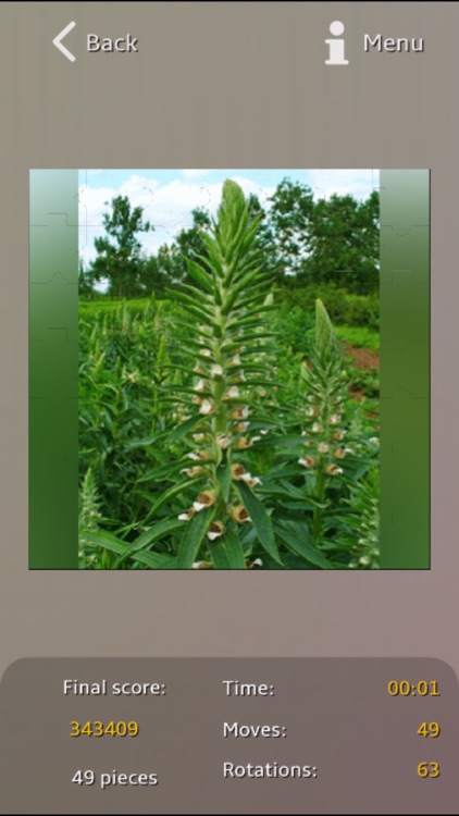 Medicinal Plants Puzzle