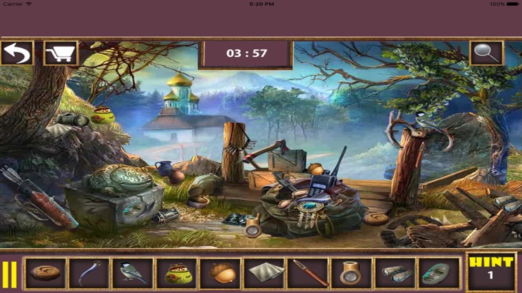 Princess Bride Hidden Object screenshot-3
