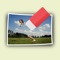 Do you want to remove unwanted items from your photos