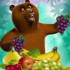 Hungry Fruit Bear Harvest Blast Matching Puzzler Games Free