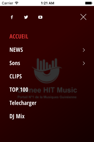 Guinee HIT Music screenshot 2