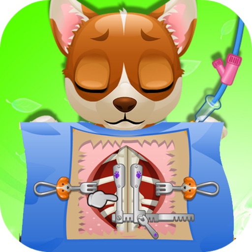 Puppy Surgery - Pets Land、Doctor Helper icon