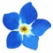 Forget Me Not is a tool for finding and remembering the burial location of a loved one