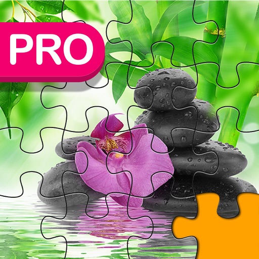 Beautiful Jigsaw Pro - Quest Of Puzzles 4 Kids icon