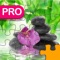 Beautiful Jigsaw Pro - Quest Of Puzzles 4 Kids