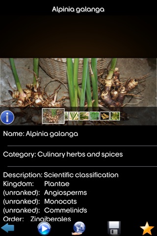 Herbs and Spices Info screenshot 2
