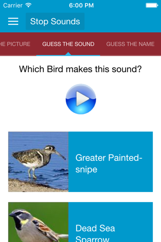 Asian Birds Sounds screenshot 3