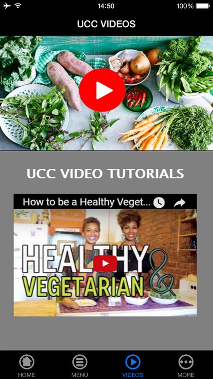Easy Becoming a Vegetarian Guide for Beginners - Recipes, Vegan Diet and Starter Kit (Go Vegan!)