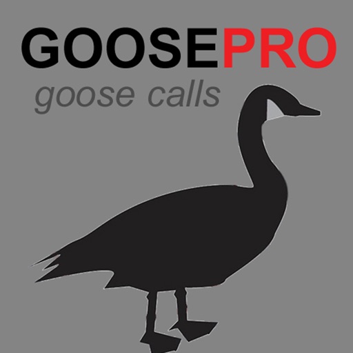 Canada Goose Calls - With Bluetooth Ad Free iOS App
