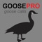 Canada Goose Calls - With Bluetooth Ad Free