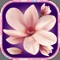Flower Wallpaper – Pretty Screen Lock.er And Floral Background Picture.s