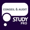 Study PRO Conseil Audit