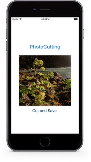 PhotoCutting Pro(圖3)-速報App