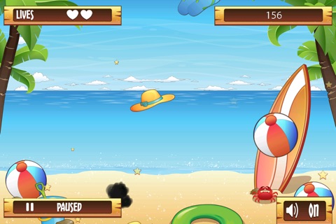 Fun in the Sun Pro screenshot 2