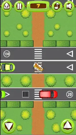 Game screenshot Cross The Road - Traffic Awareness hack