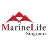 MarineLife Singapore Pte Ltd