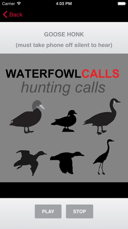 Waterfowl Hunting Calls - The Ultimate Waterfowl Hunting Calls App For Ducks, Geese & Sandhill Cranes - BLUETOOTH COMPATIBLE screenshot-3