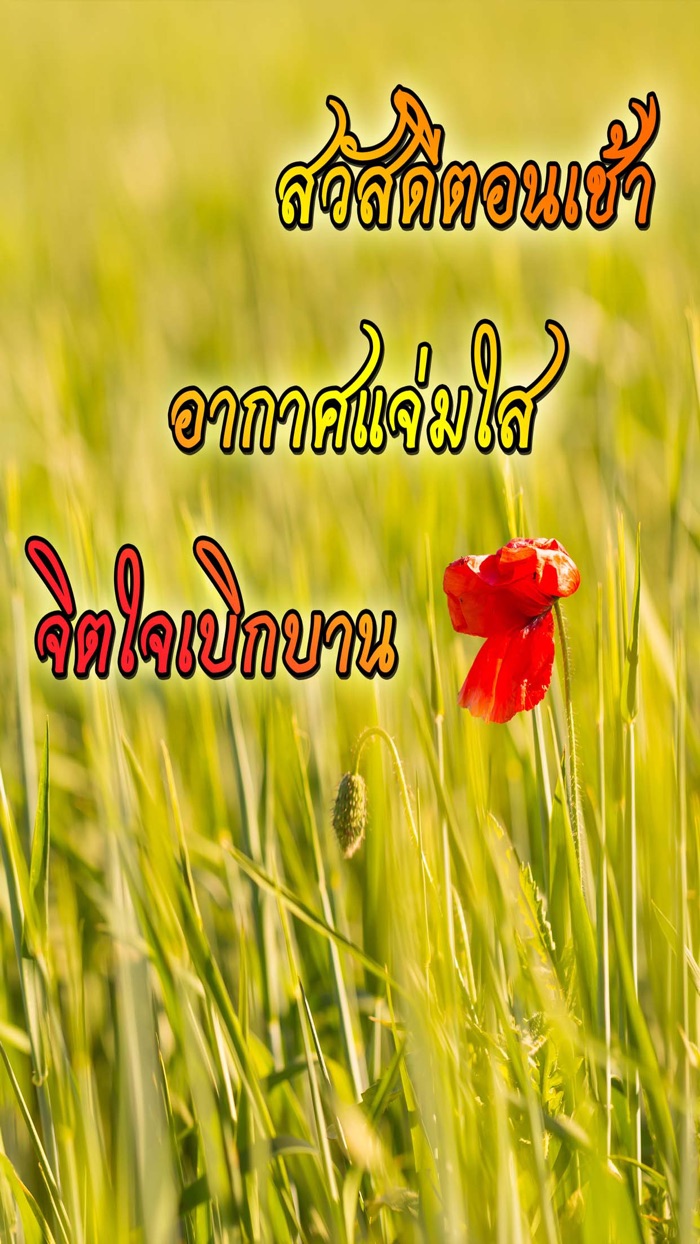 คำคมสวัสดี สวัสดีตอนเช้าฟรีตามวัน