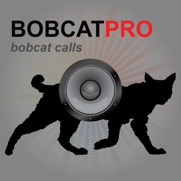 Bobcat Hunting Calls - With Bluetooth - Ad Free