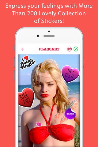 FlagCart - Photo Fx Stickers Overlays screenshot 2