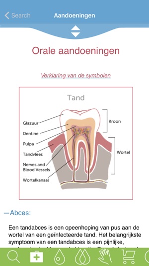 Modern Essentials Dutch(圖2)-速報App