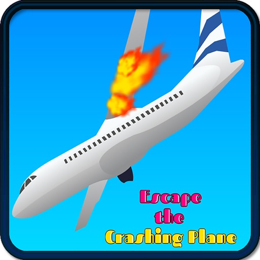 Escape the Crashing Plane Icon