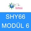 Pusula Havacılık SHY66 Modul 6