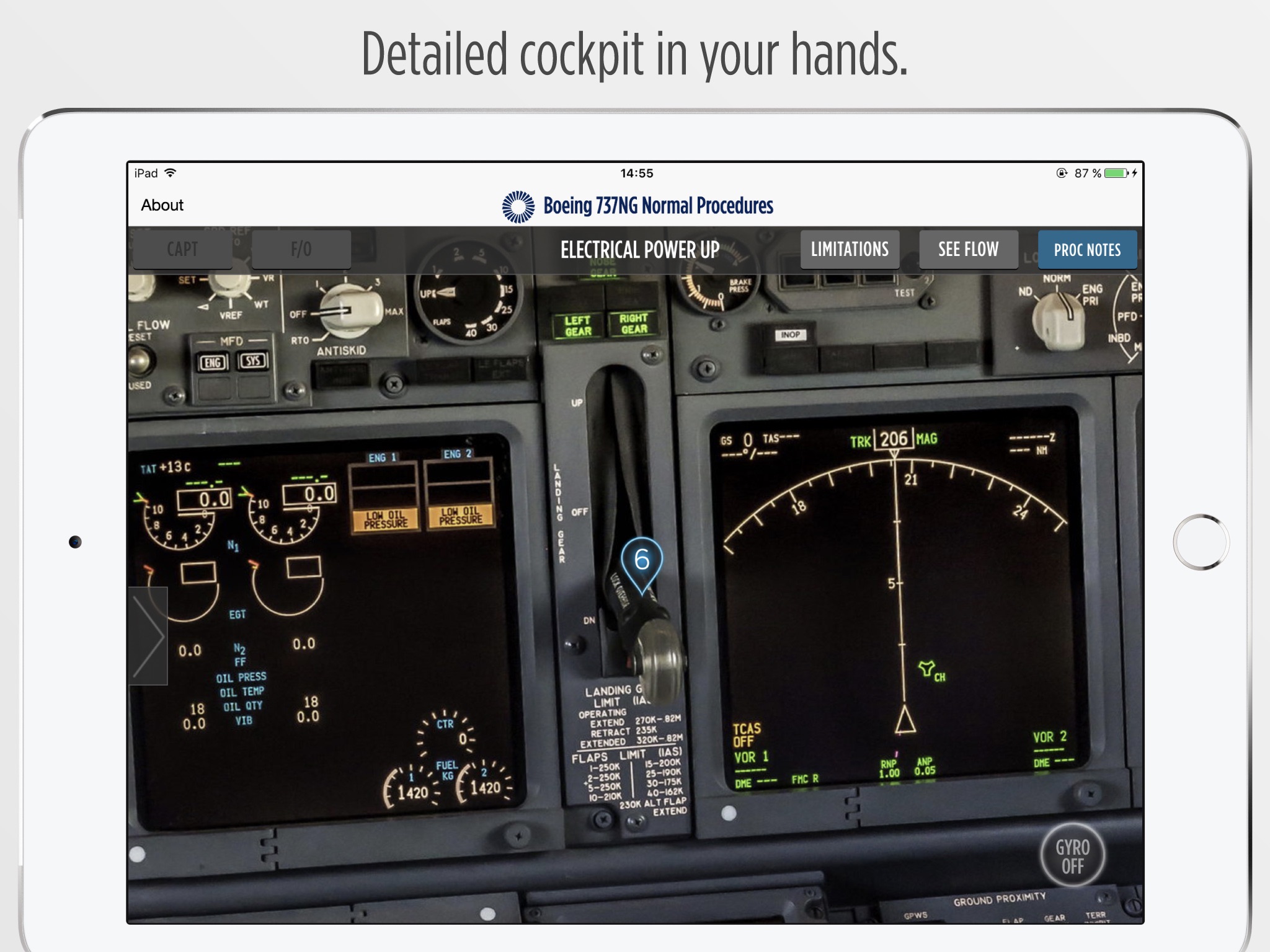 Boeing 737NG Normal Procedures screenshot 2