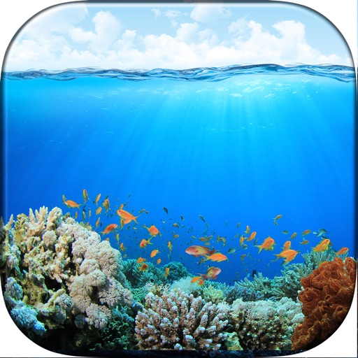 Download Casualis:Auto wallpaper change MOD APK v9.1 for Android