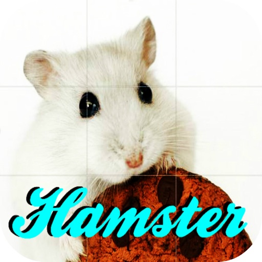 Hamster Puzzle iOS App