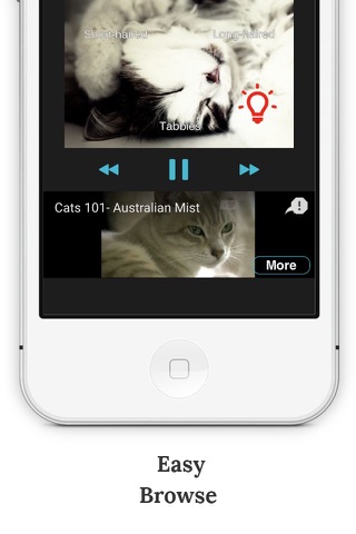 SwiArk - Cat Breed Video Directory screenshot 2