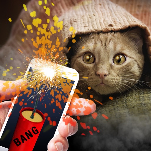 Bang Deafened Cat Prank