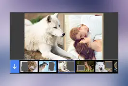 Game screenshot Wolf Photo Frame - Great and Fantastic Frames for your photo mod apk