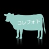 korePhoto