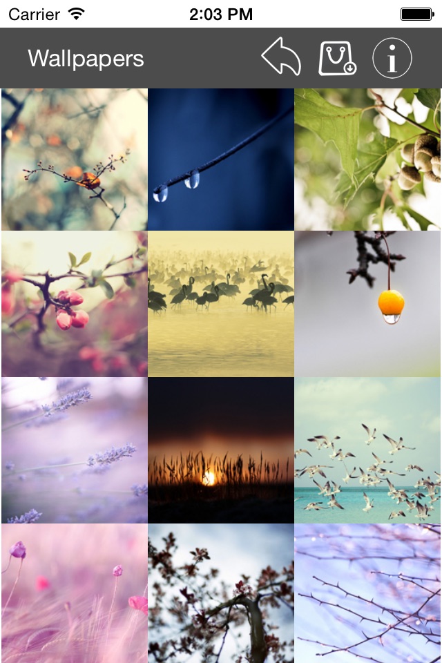 Wallpaper Collection Nature Edition screenshot 4