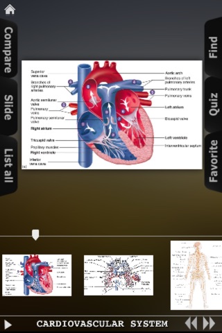 Human Body Database screenshot 4