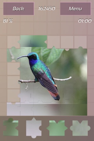 Hummingbirds Best Puzzles screenshot 2