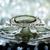 The Importance Of Water