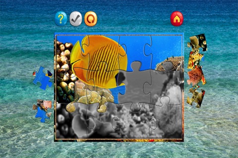 Undersea Jigsaw Puzzle Games screenshot 3
