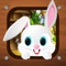 Hay Bunny Farm - Find The Farm Mystery And Crazy Hidden Object