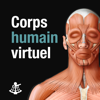 Corps humain virtuel - QA International