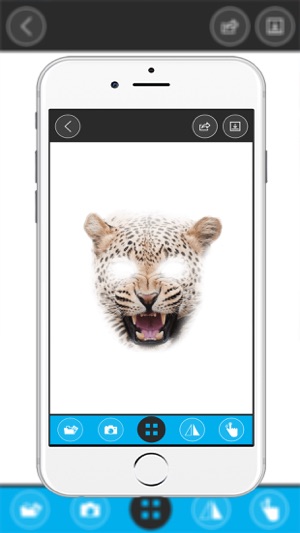 Animale Face Montage Photo(圖4)-速報App
