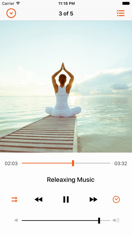 Cloud Music Player Pro - Sync Offline Audio for Dropbox, Google Drive, OneDrive screenshot-3