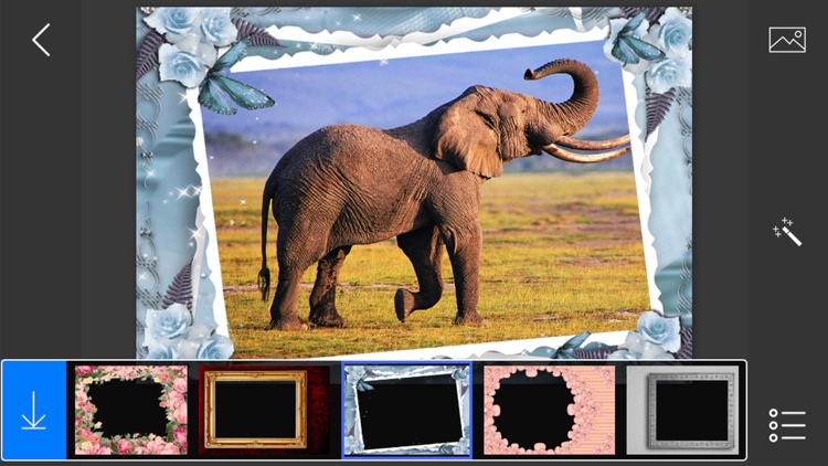 Professional Photo Frames - make eligant and awesome photo using new photo frames