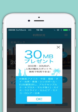 楽天モバイル海外SIM -海外でネット・通話を格安に！- screenshot 4